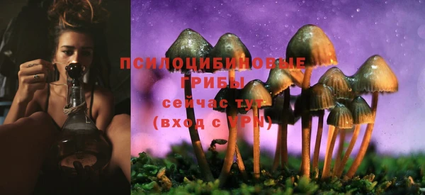 каннабис Арсеньев